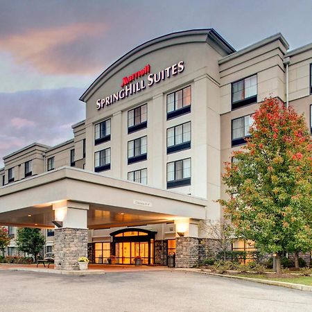 Springhill Suites By Marriott Wheeling Triadelphia Area Buitenkant foto