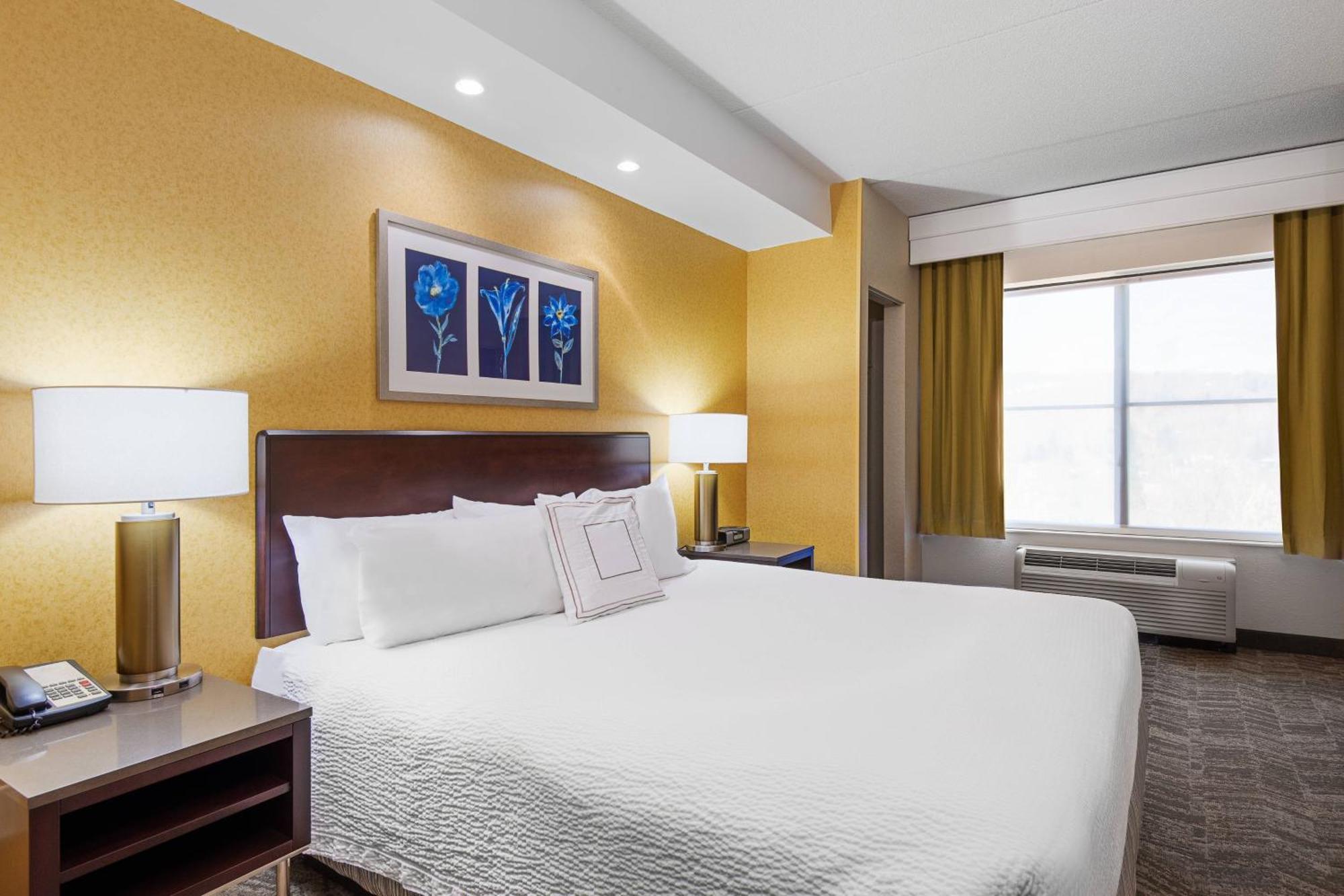 Springhill Suites By Marriott Wheeling Triadelphia Area Buitenkant foto